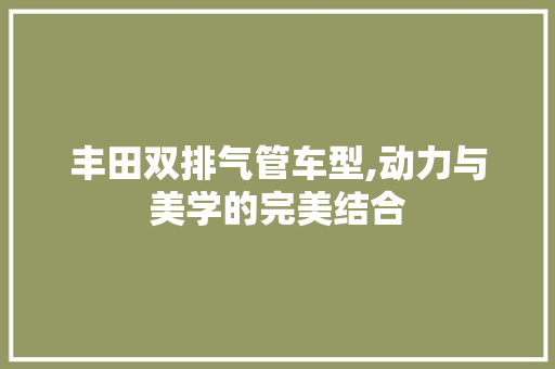 丰田双排气管车型,动力与美学的完美结合