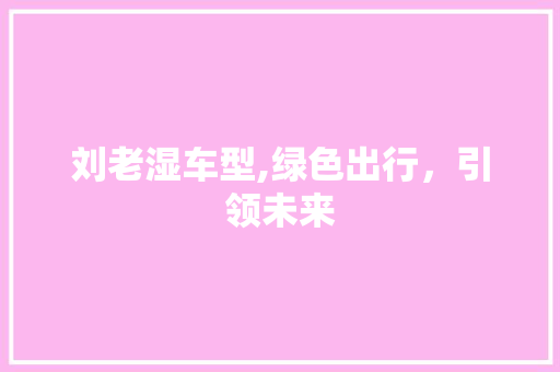 刘老湿车型,绿色出行，引领未来