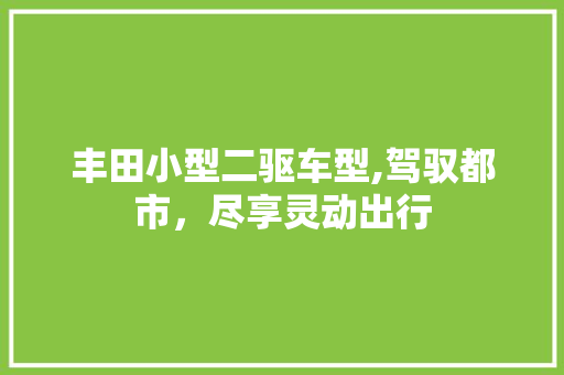 丰田小型二驱车型,驾驭都市，尽享灵动出行