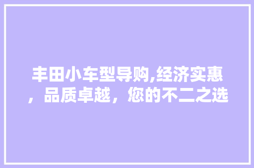 丰田小车型导购,经济实惠，品质卓越，您的不二之选