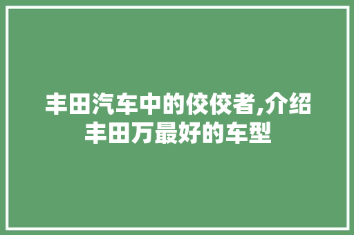 丰田汽车中的佼佼者,介绍丰田万最好的车型