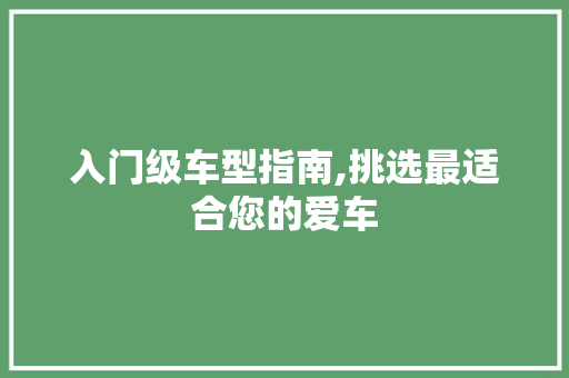 入门级车型指南,挑选最适合您的爱车