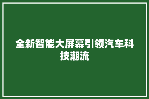 全新智能大屏幕引领汽车科技潮流
