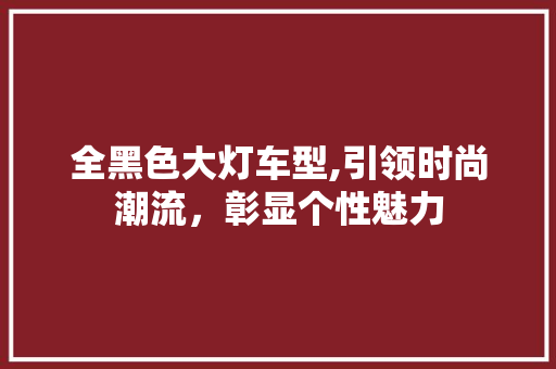 全黑色大灯车型,引领时尚潮流，彰显个性魅力 变速箱配件