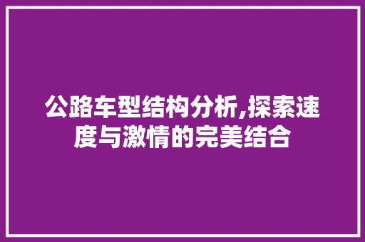 公路车型结构分析,探索速度与激情的完美结合