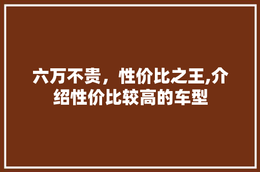 六万不贵，性价比之王,介绍性价比较高的车型