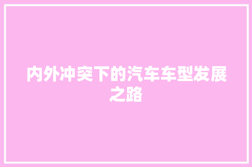 内外冲突下的汽车车型发展之路