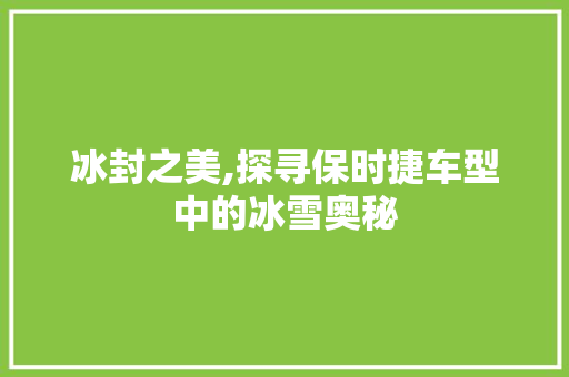 冰封之美,探寻保时捷车型中的冰雪奥秘