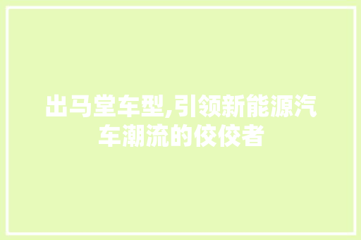 出马堂车型,引领新能源汽车潮流的佼佼者