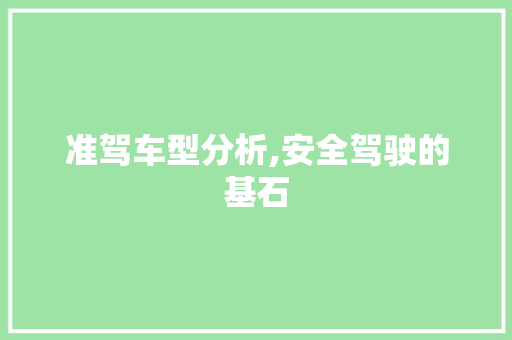 准驾车型分析,安全驾驶的基石