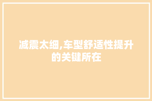 减震太细,车型舒适性提升的关键所在 新能源汽车