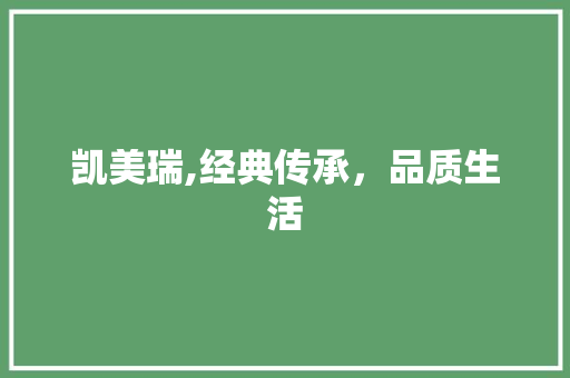 凯美瑞,经典传承，品质生活
