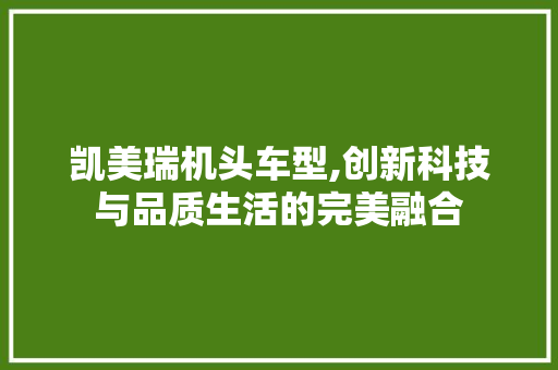 凯美瑞机头车型,创新科技与品质生活的完美融合 新能源汽车