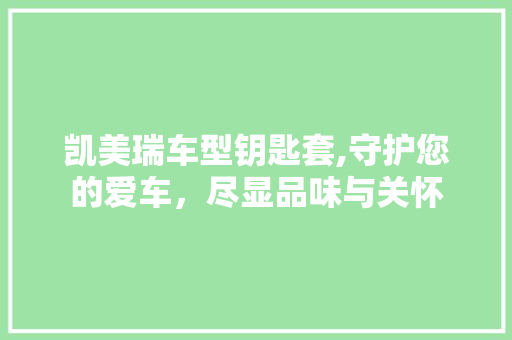 凯美瑞车型钥匙套,守护您的爱车，尽显品味与关怀