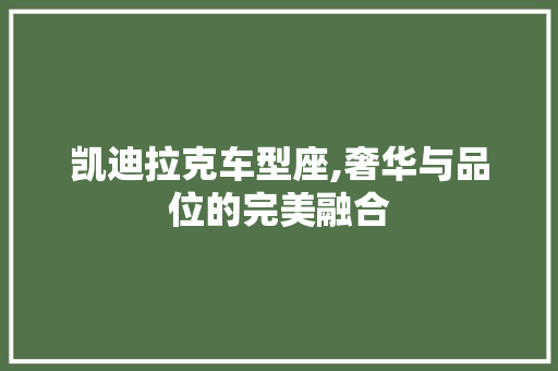 凯迪拉克车型座,奢华与品位的完美融合