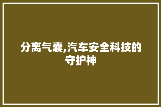 分离气囊,汽车安全科技的守护神 蓄电池配件