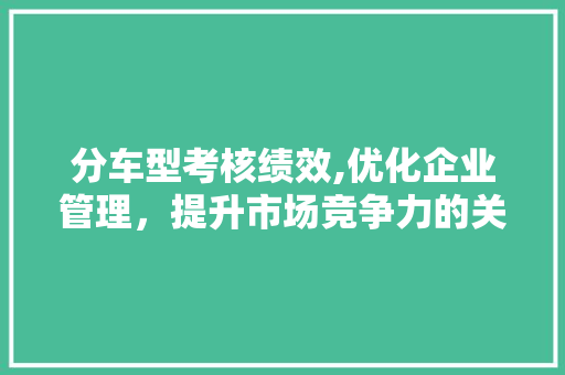 分车型考核绩效,优化企业管理，提升市场竞争力的关键举措