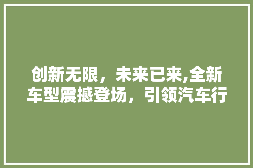 创新无限，未来已来,全新车型震撼登场，引领汽车行业新潮流