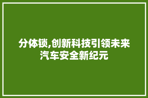 分体锁,创新科技引领未来汽车安全新纪元