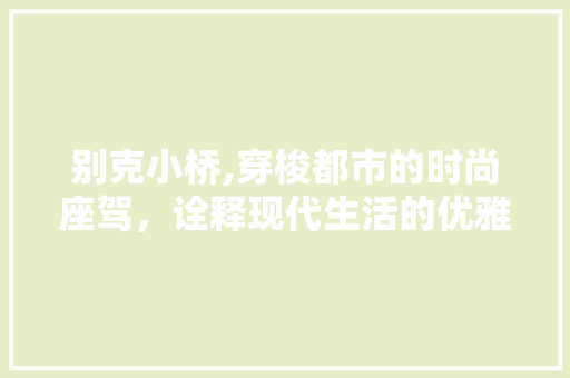 别克小桥,穿梭都市的时尚座驾，诠释现代生活的优雅方法 变速箱配件