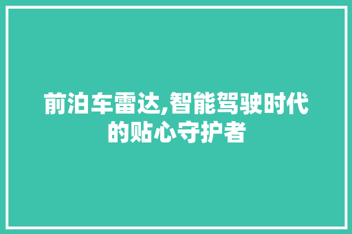 前泊车雷达,智能驾驶时代的贴心守护者