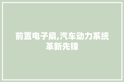 前置电子扇,汽车动力系统革新先锋