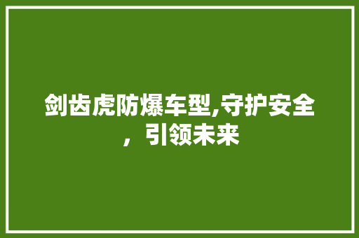 剑齿虎防爆车型,守护安全，引领未来 变速箱配件