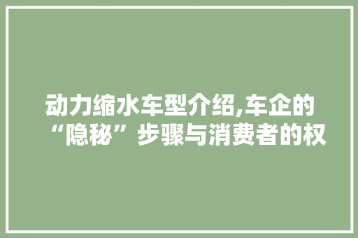 动力缩水车型介绍,车企的“隐秘”步骤与消费者的权益保护 车灯配件