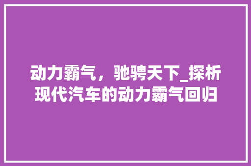 动力霸气，驰骋天下_探析现代汽车的动力霸气回归