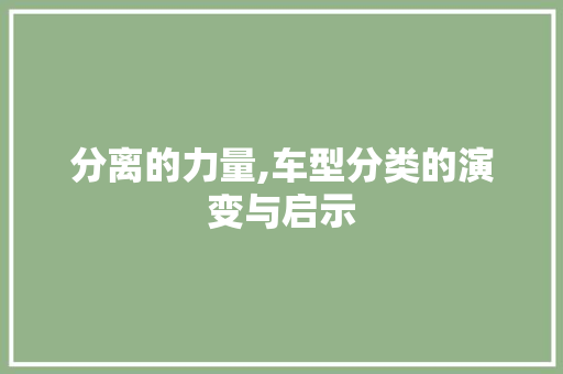 分离的力量,车型分类的演变与启示