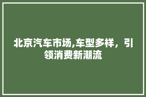 北京汽车市场,车型多样，引领消费新潮流