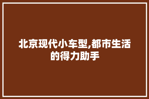 北京现代小车型,都市生活的得力助手