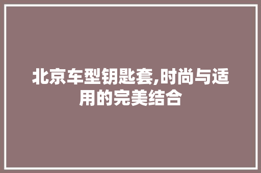 北京车型钥匙套,时尚与适用的完美结合
