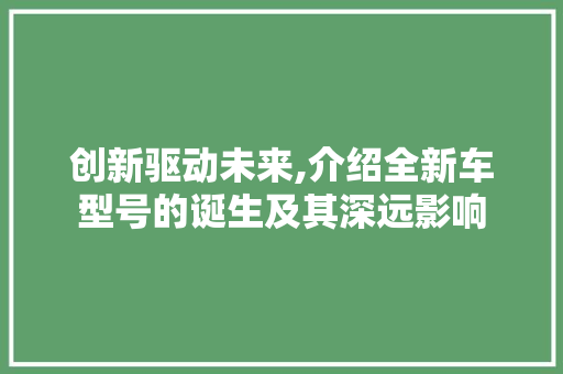 创新驱动未来,介绍全新车型号的诞生及其深远影响