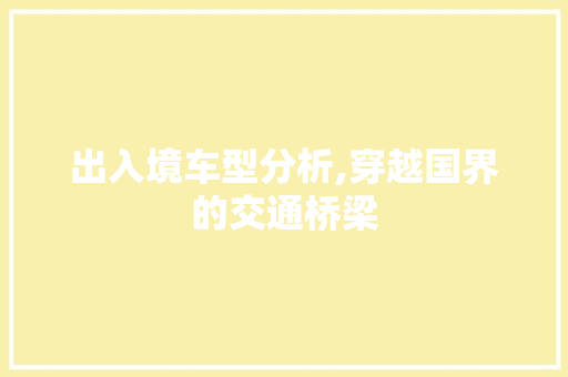 出入境车型分析,穿越国界的交通桥梁