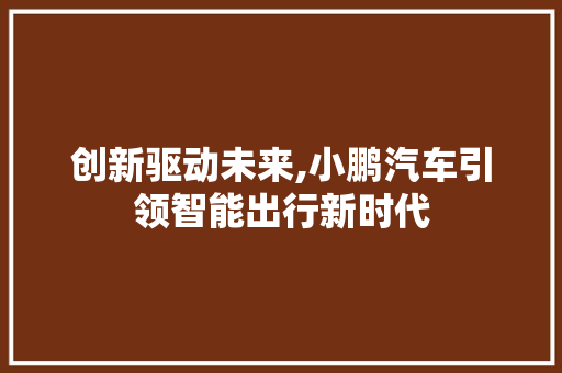 创新驱动未来,小鹏汽车引领智能出行新时代
