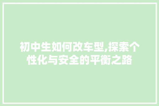 初中生如何改车型,探索个性化与安全的平衡之路