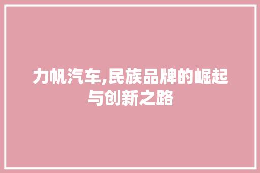 力帆汽车,民族品牌的崛起与创新之路 发动机配件