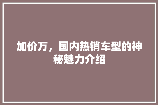 加价万，国内热销车型的神秘魅力介绍