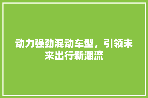动力强劲混动车型，引领未来出行新潮流