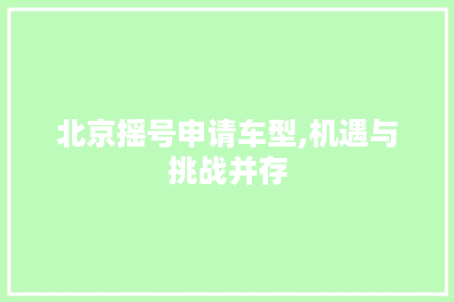 北京摇号申请车型,机遇与挑战并存