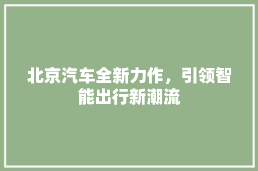 北京汽车全新力作，引领智能出行新潮流 变速箱配件