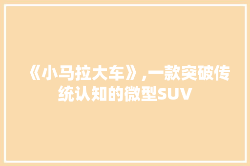 《小马拉大车》,一款突破传统认知的微型SUV