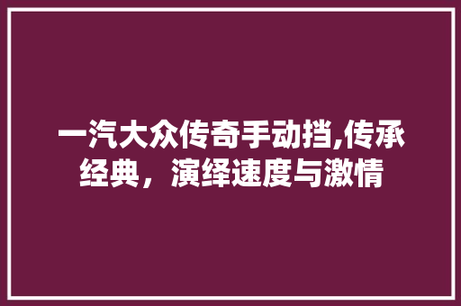 一汽大众传奇手动挡,传承经典，演绎速度与激情
