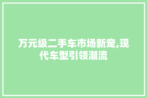 万元级二手车市场新宠,现代车型引领潮流