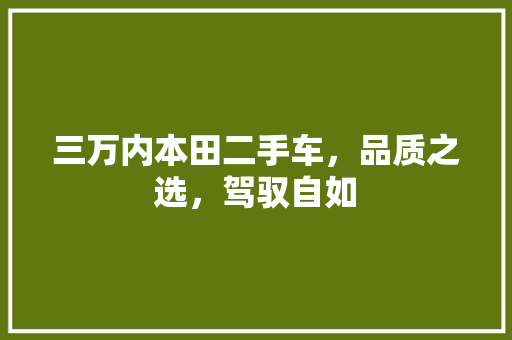 三万内本田二手车，品质之选，驾驭自如