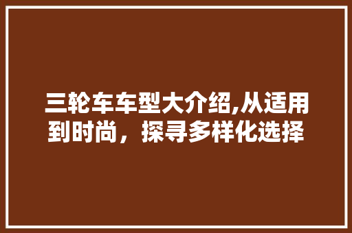 三轮车车型大介绍,从适用到时尚，探寻多样化选择