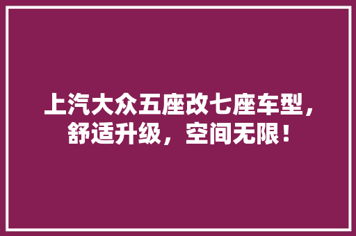 上汽大众五座改七座车型，舒适升级，空间无限！