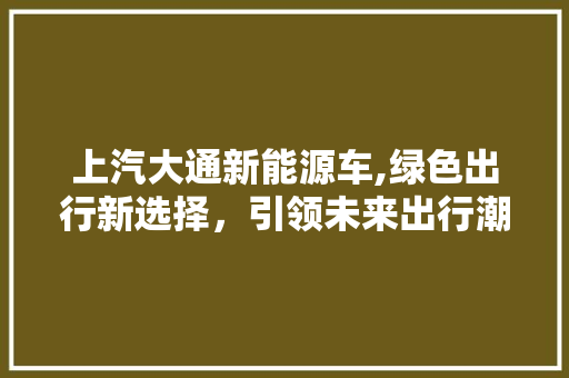 上汽大通新能源车,绿色出行新选择，引领未来出行潮流
