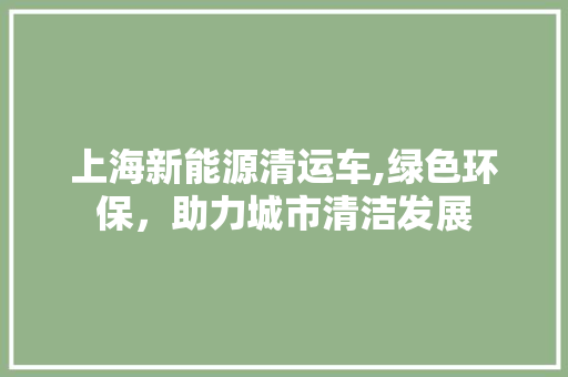 上海新能源清运车,绿色环保，助力城市清洁发展